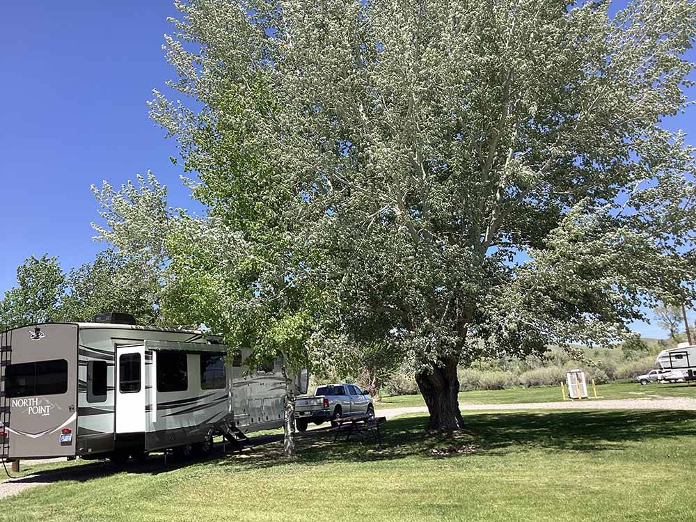 A travel trailer under a tree at BEAVERHEAD RIVER RV PARK & CAMPGROUND