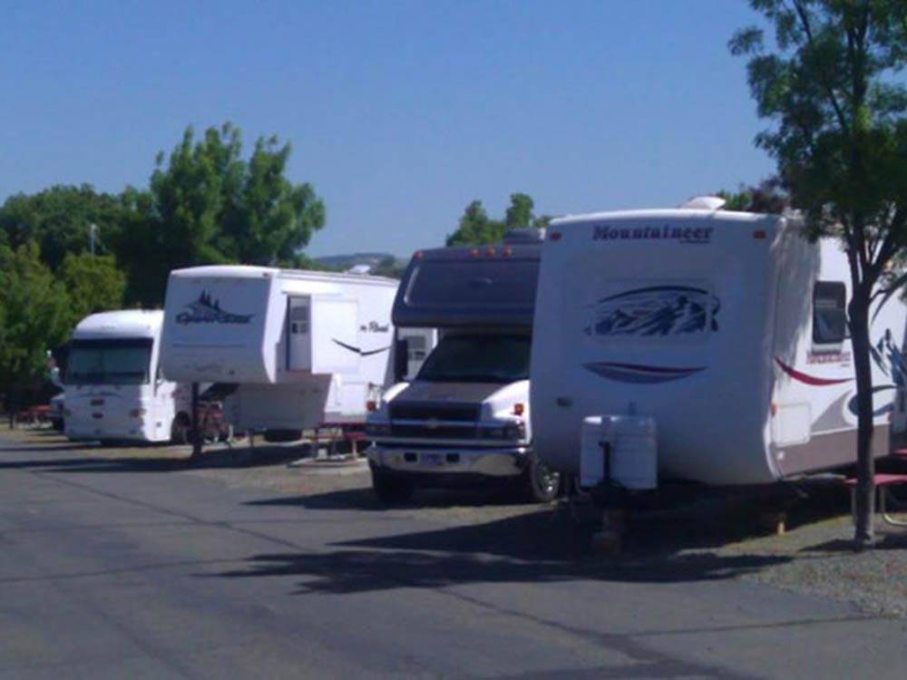 RVs and trailers at campground at TRADEWINDS RV PARK OF VALLEJO