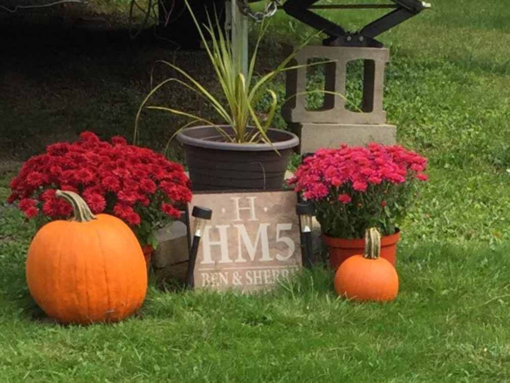 A couple of pumpkins and flowers at BEAVER MEADOW FAMILY CAMPGROUND