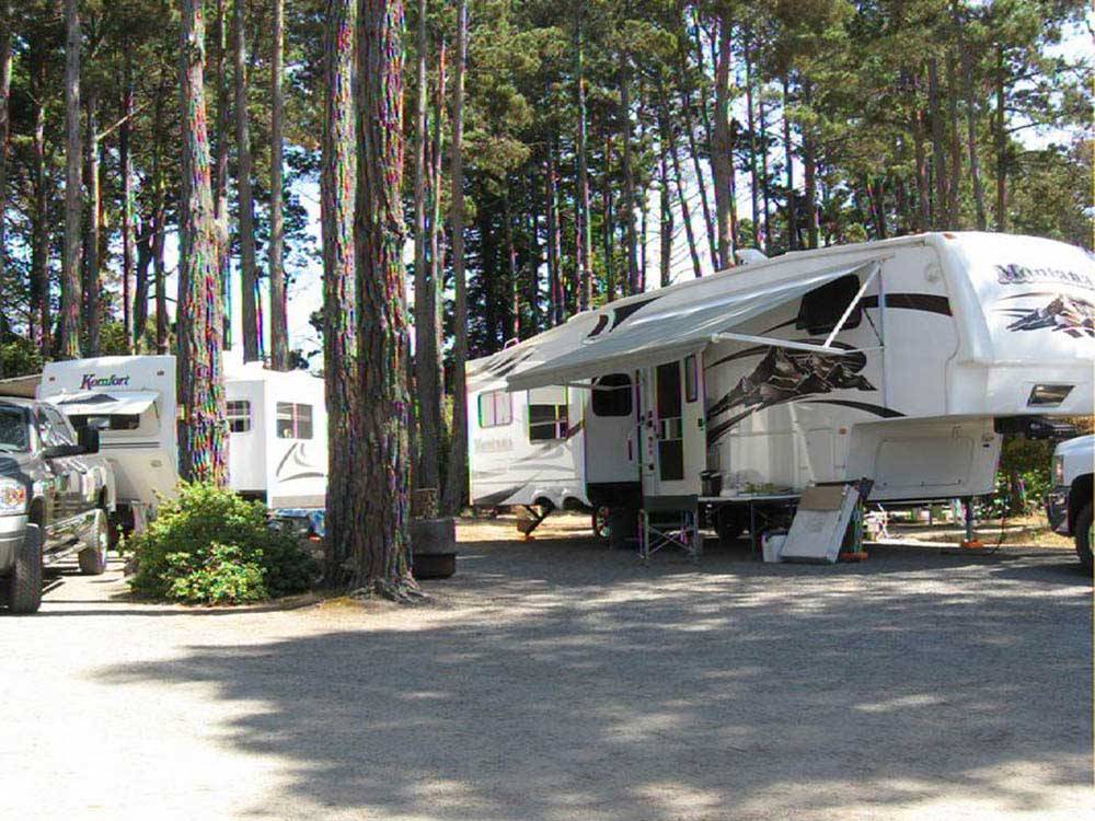 Trailers camping in tall trees at POMO RV PARK & CAMPGROUND