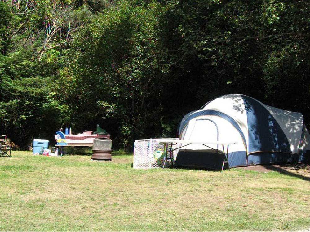 Tent camping on grass at POMO RV PARK & CAMPGROUND