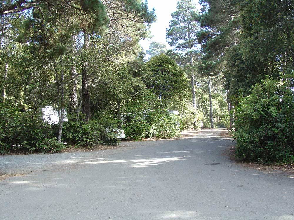 Paved roadway leading through grounds at POMO RV PARK & CAMPGROUND