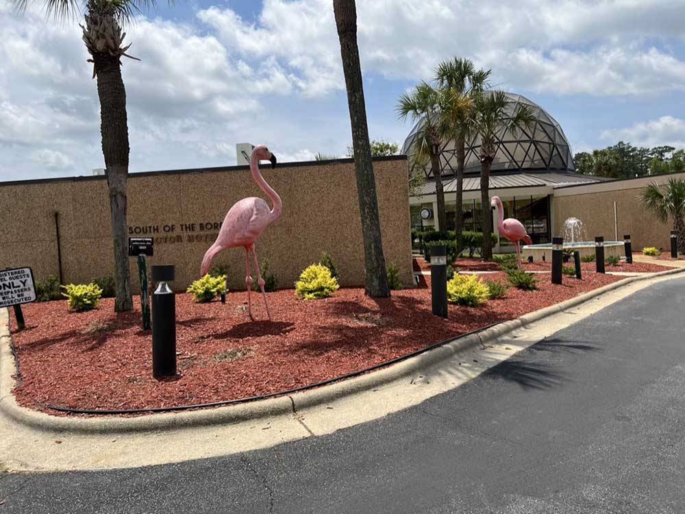 Pink flamingos in the entrance to the hotel at CAMP PEDRO CAMPGROUND