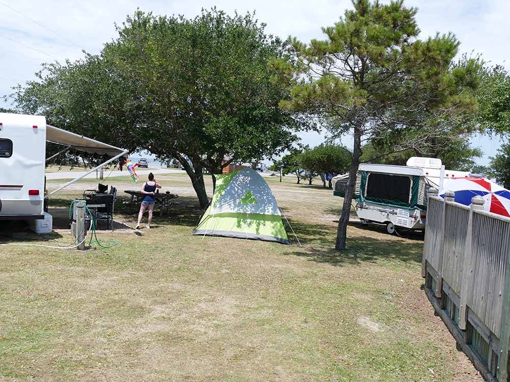 A tent set up under a tree at FRISCO WOODS CAMPGROUND