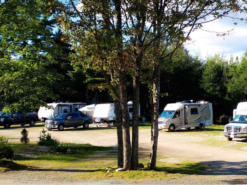 Motorhomes and trailers in sites backed by tall trees at RAYPORT CAMPGROUND