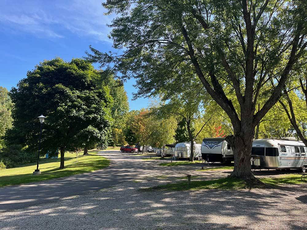 RVs parked in shady forested environment at HOLIDAY PARK CAMPGROUND