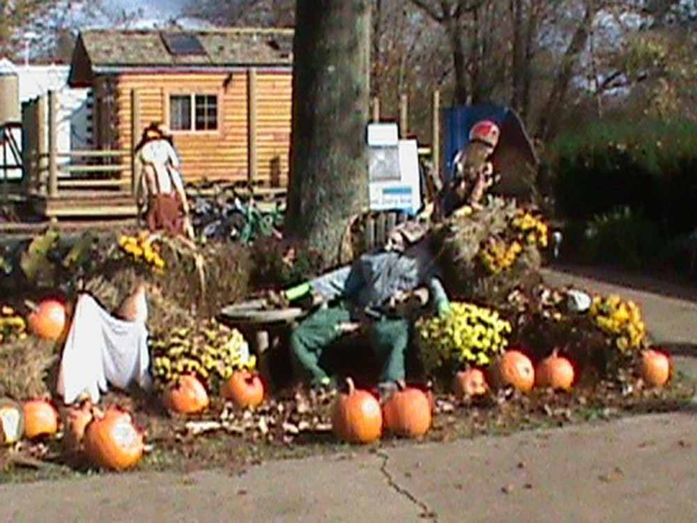 A display of pumpkins at HUNTINGTON FOX FIRE KOA