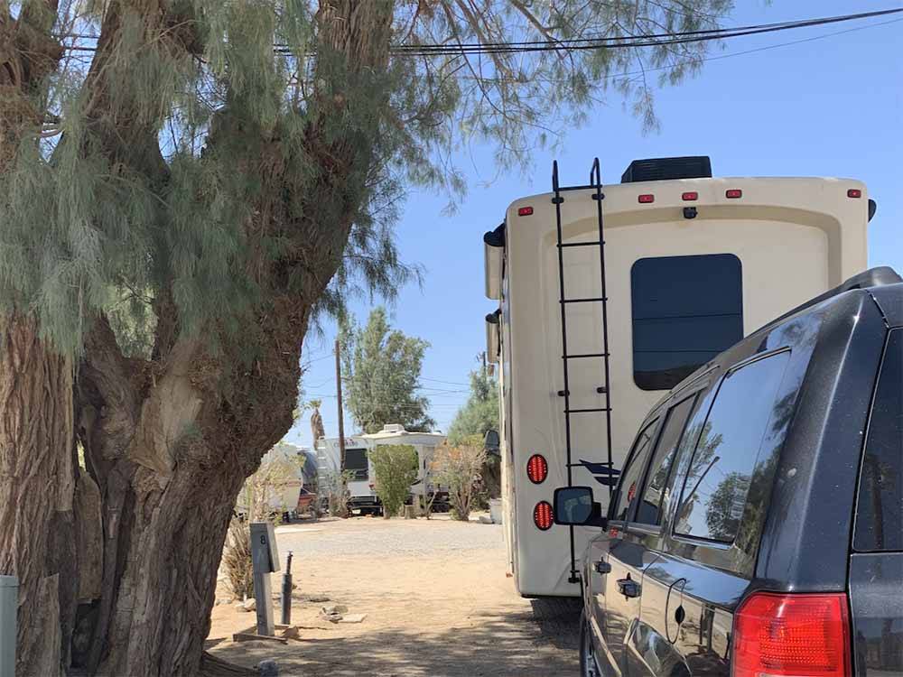 A motorhome and tow vehicle under a tree at SHADY LANE RV CAMP