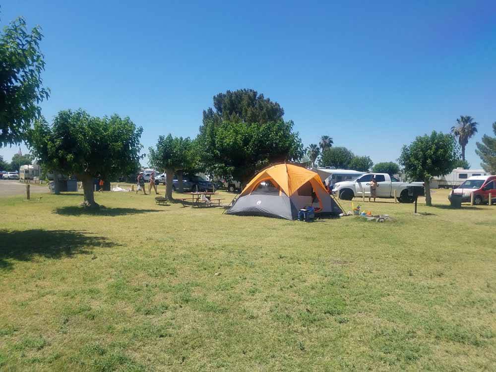 A tent in a grassy area at DESTINY RV RESORTS-MCINTYRE