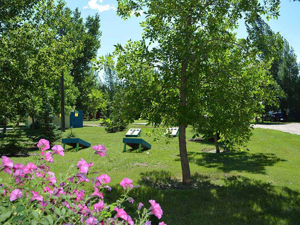 Corn hole area surrounded by trees at INDIAN HEAD CAMPGROUND