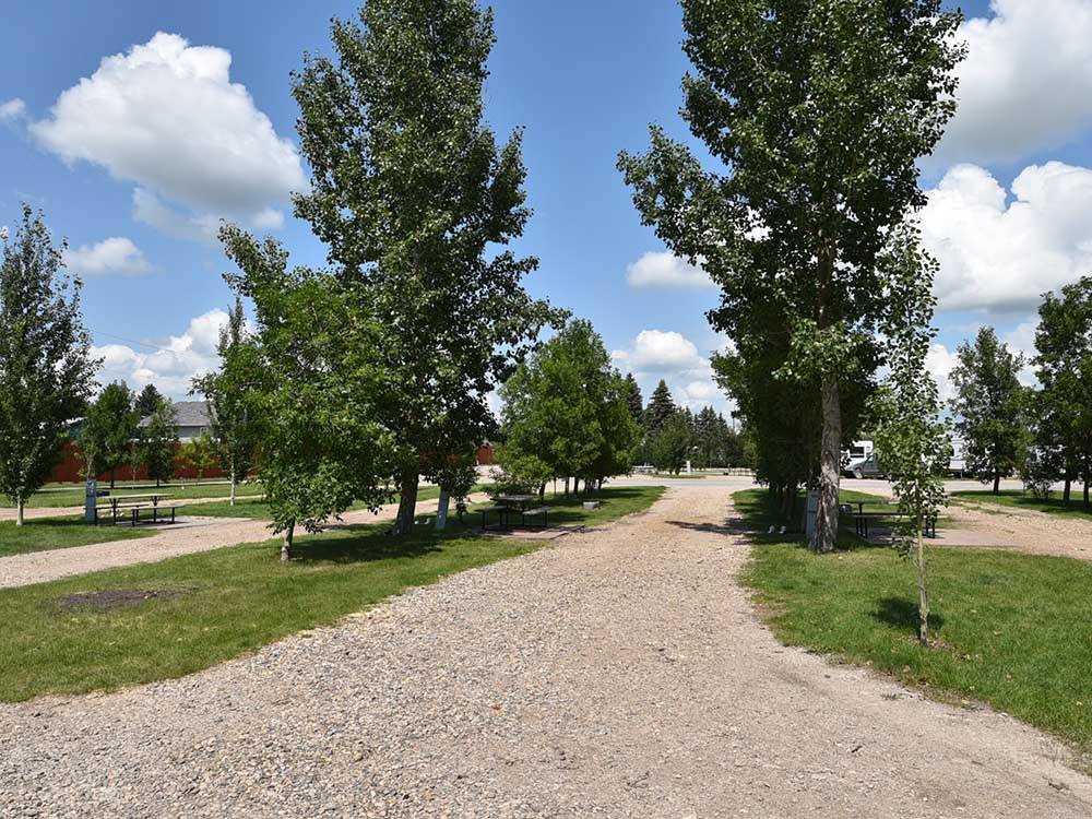 A gravel site lined with trees at INDIAN HEAD CAMPGROUND