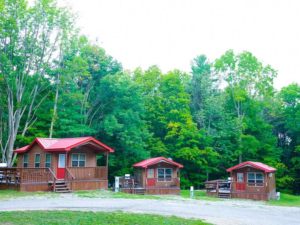 Some of the cabins near the trees at BISSELL'S HIDEAWAY RESORT