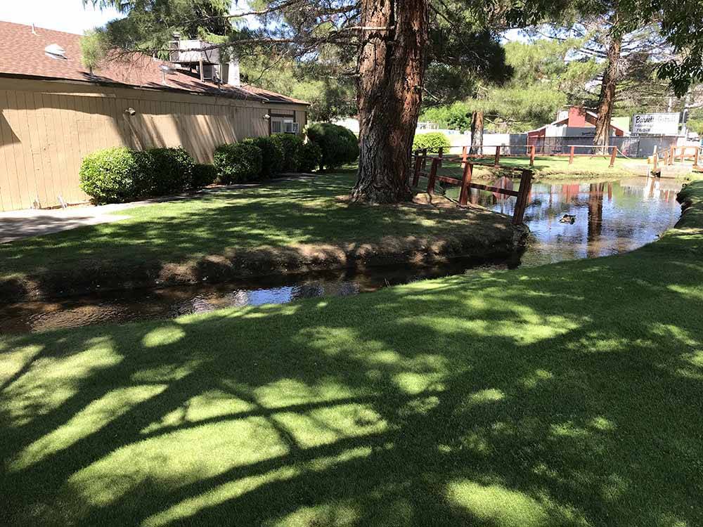 View of creek under shady trees at HIGHLANDS RV PARK