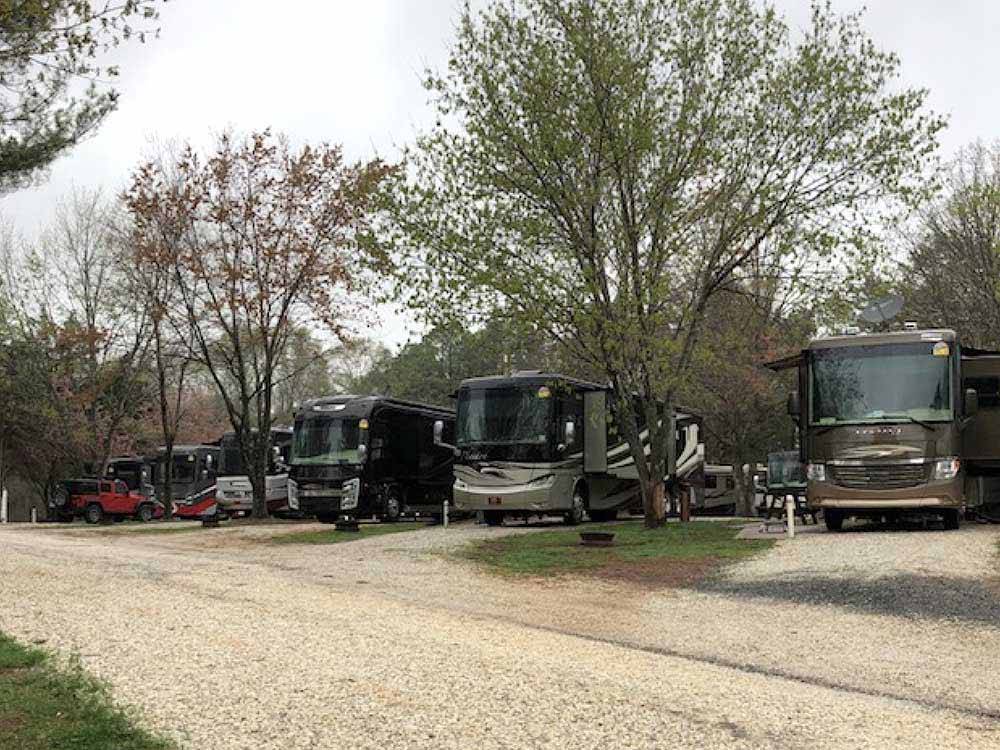 Row of big rig RVs in gravel sites at PARADISE LAKE FAMILY CAMPGROUND
