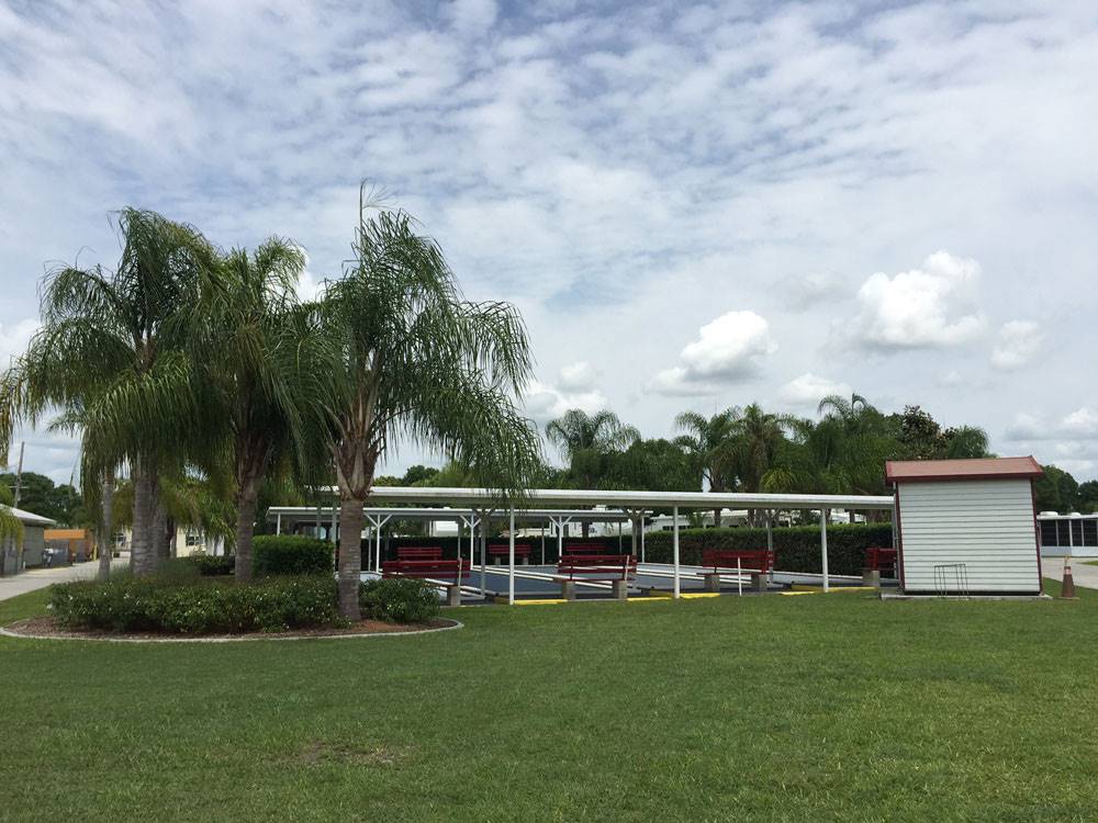 Recreation area with large palm trees at CRAIG'S RV PARK