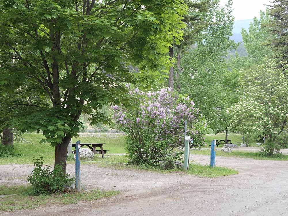 A row of gravel RV sites at GOLDEN MUNICIPAL CAMPGROUND
