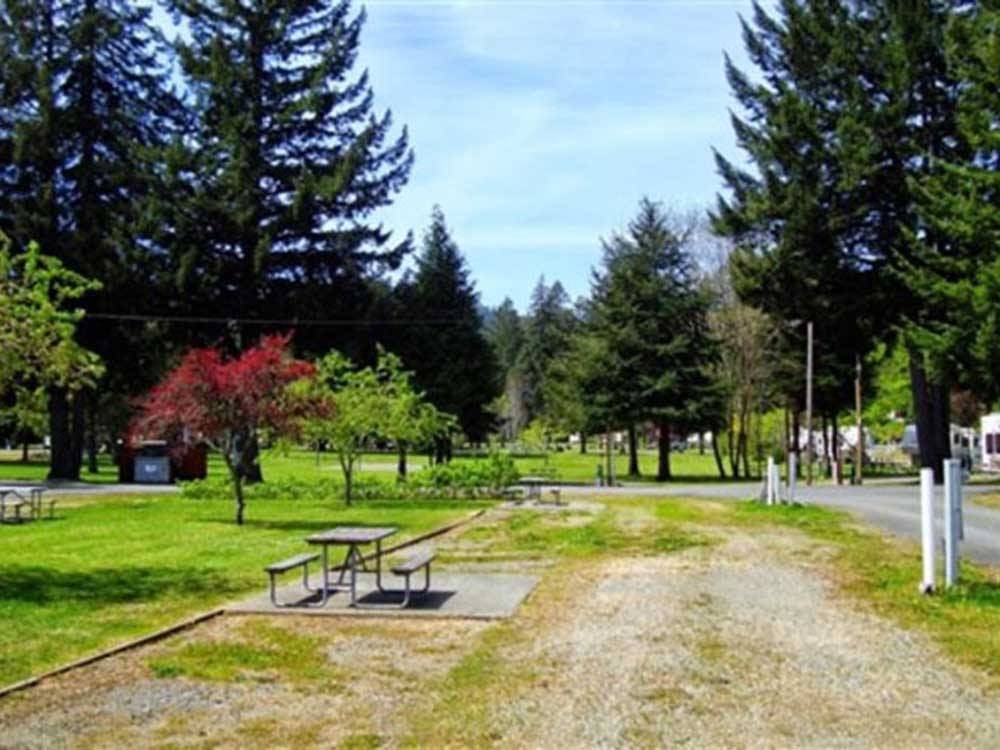One of the grassy RV sites at REDWOOD MEADOWS RV RESORT