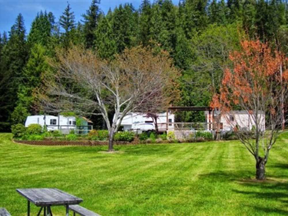 A large grassy area with a picnic bench at REDWOOD MEADOWS RV RESORT