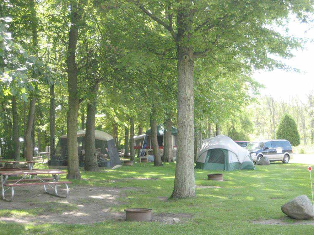 A group of tent sites under trees at SPAULDING LAKE CAMPGROUND
