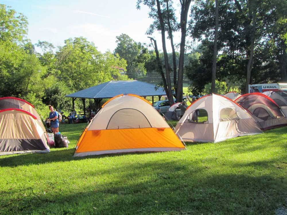 Multiple tents on-site at HICKORY RUN CAMPGROUND