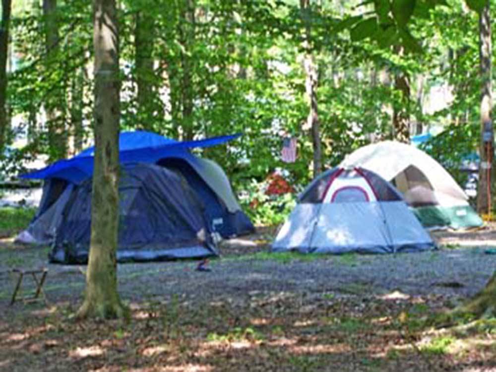Tents pitched at campsites at HICKORY RUN CAMPGROUND