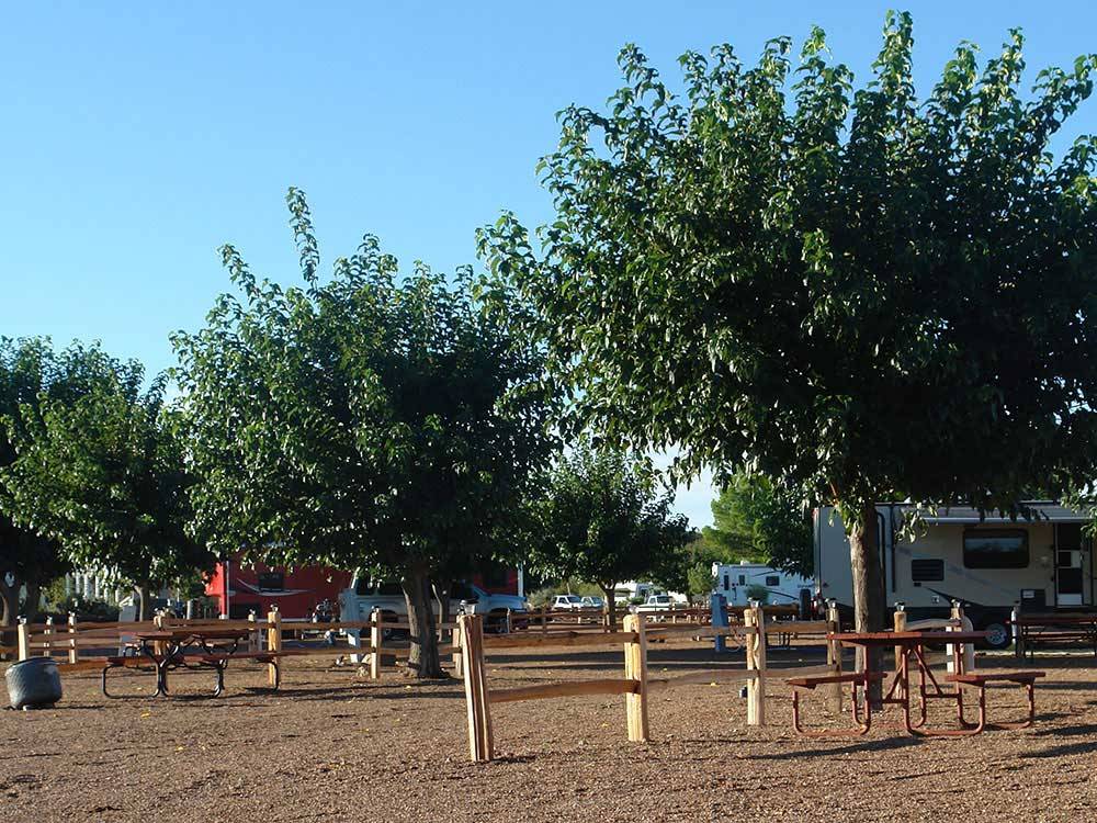 Picnic tables and trailers camping at TOMBSTONE RV PARK