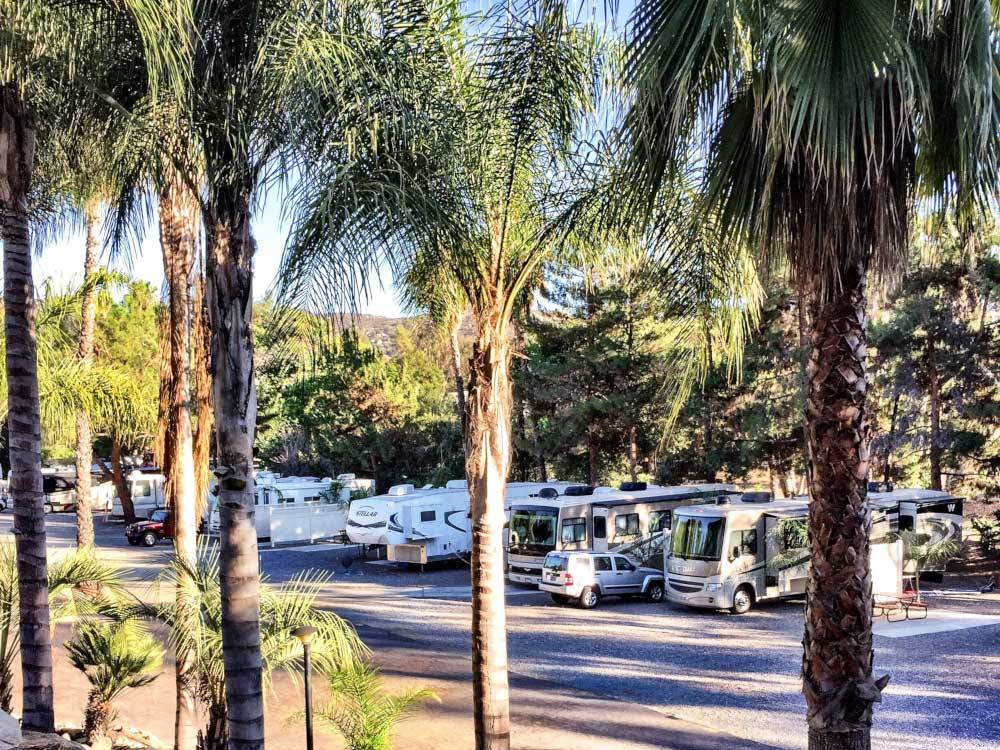 Trailers and RVs camping at RANCHO LOS COCHES RV PARK