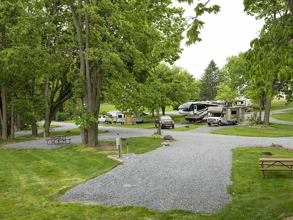 RV sites surrounded by grass amid tall trees at COUNTRY ACRES CAMPGROUND
