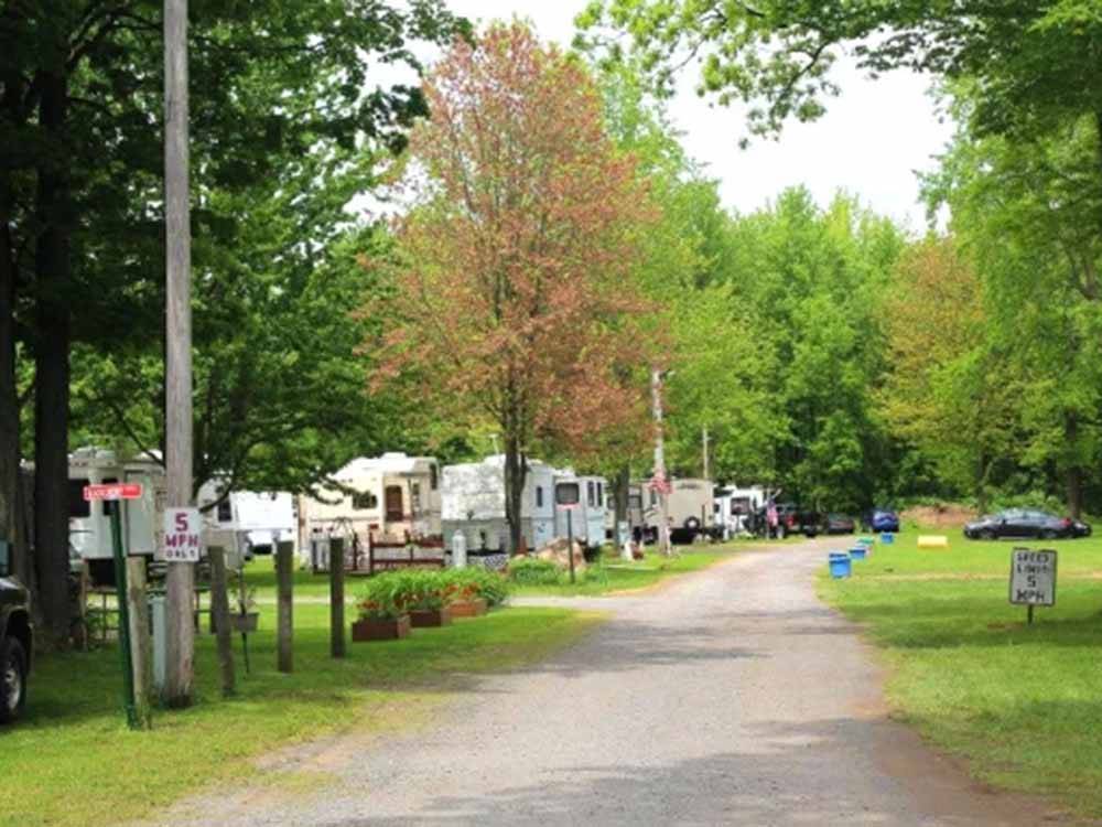 The 5 mph gravel road at CHERRY GROVE CAMPGROUND