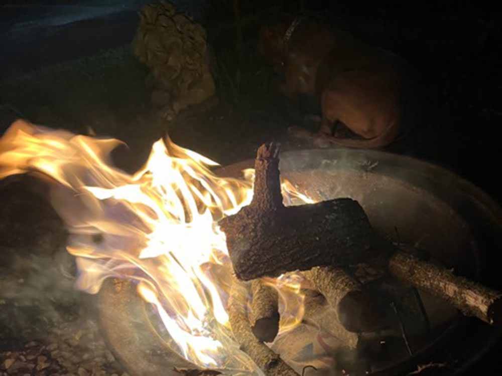 A close up of a camp fire at BLUE MOUNTAIN CAMPGROUND