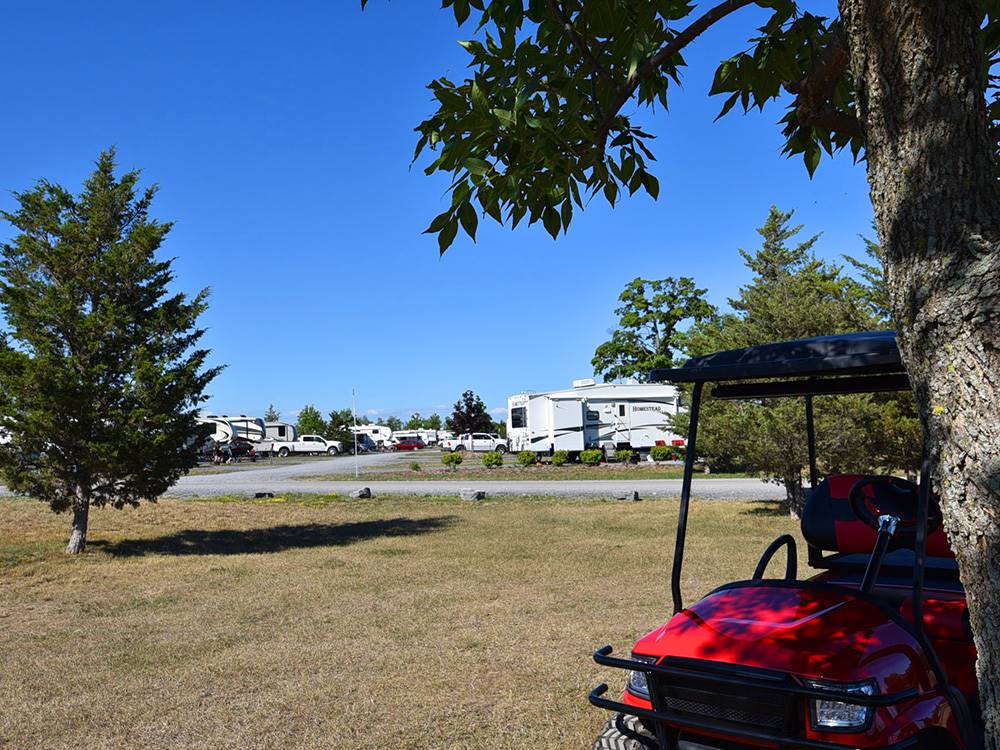 Red golf cart parked under a tree at QUINTE'S ISLE CAMPARK
