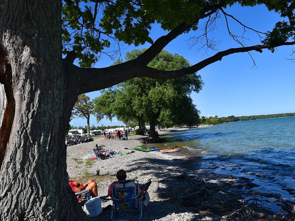 A couple sitting under a tree near the lake at QUINTE'S ISLE CAMPARK