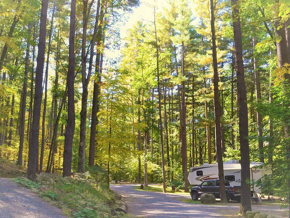 RV parked in a site under tall trees at KING PHILLIPS CAMPGROUND