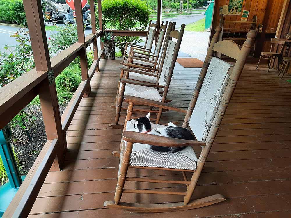 A line of rocking chairs at TWIN CREEK RV RESORT