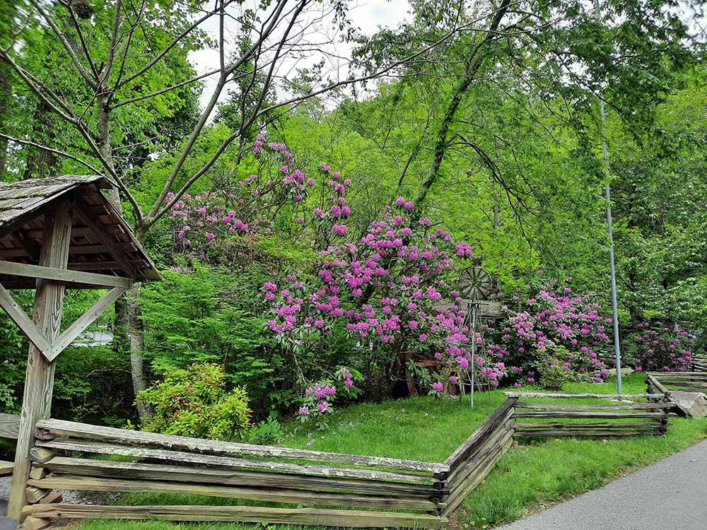 A rustic wooden fence and a flowering bush at TWIN CREEK RV RESORT