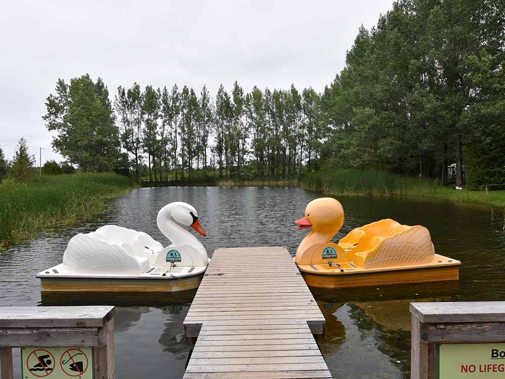 A duck and a swan peddle boats at TOBERMORY VILLAGE CAMPGROUND & CABINS
