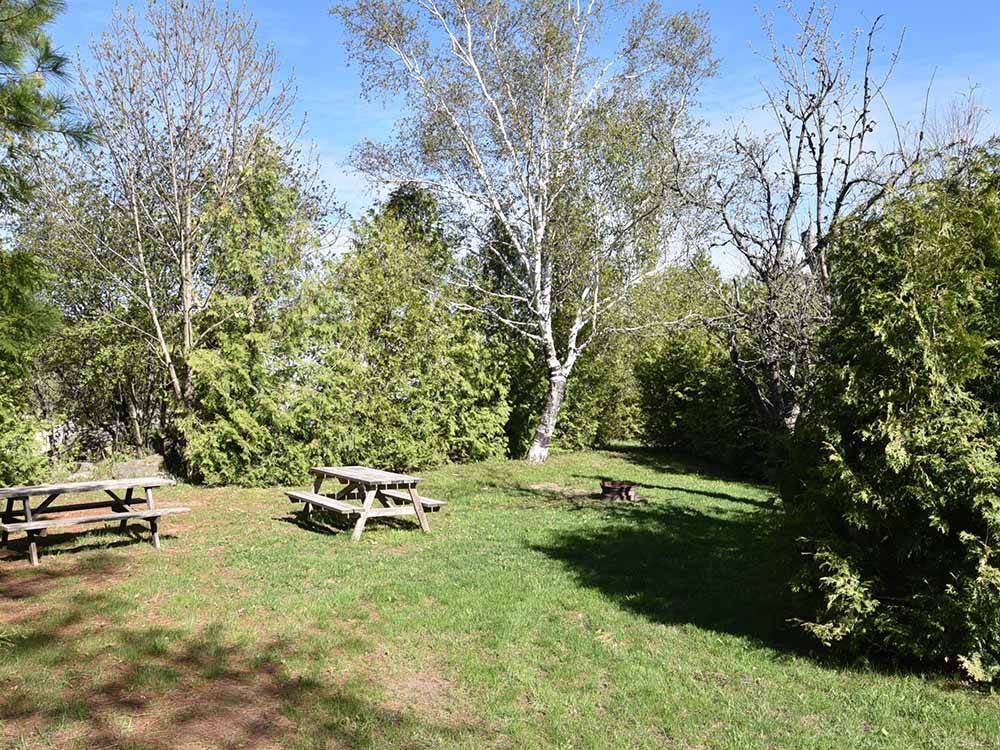 A grassy area with picnic benches at TOBERMORY VILLAGE CAMPGROUND & CABINS
