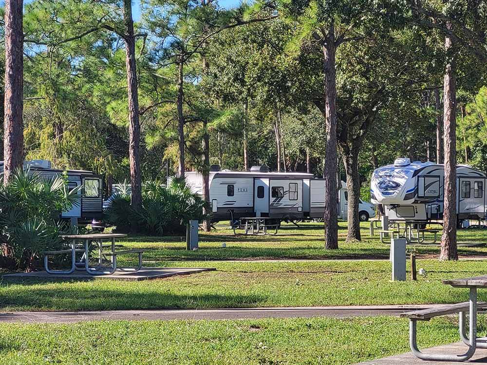 Travel trailers parked in RV sites at LION COUNTRY SAFARI KOA