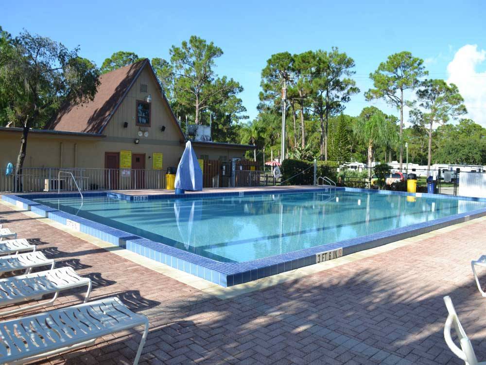 The pool area with chairs at LION COUNTRY SAFARI KOA