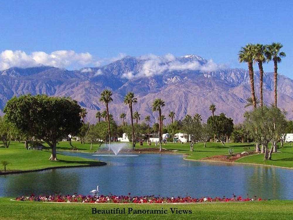 Lush greens of golf course with mountain in background at OUTDOOR RESORT PALM SPRINGS