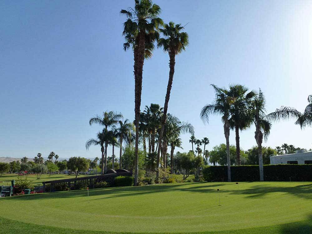 Putting green at OUTDOOR RESORT PALM SPRINGS