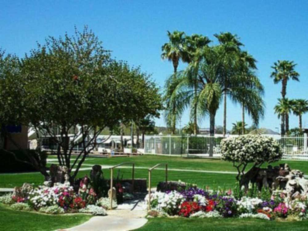 A green grassy area with flowers at RINCON COUNTRY WEST RV RESORT