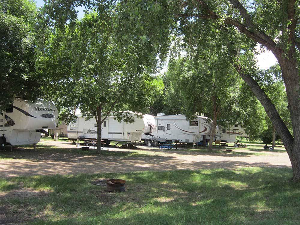 RVs parked in gravel sites with trees at OASIS CAMPGROUND