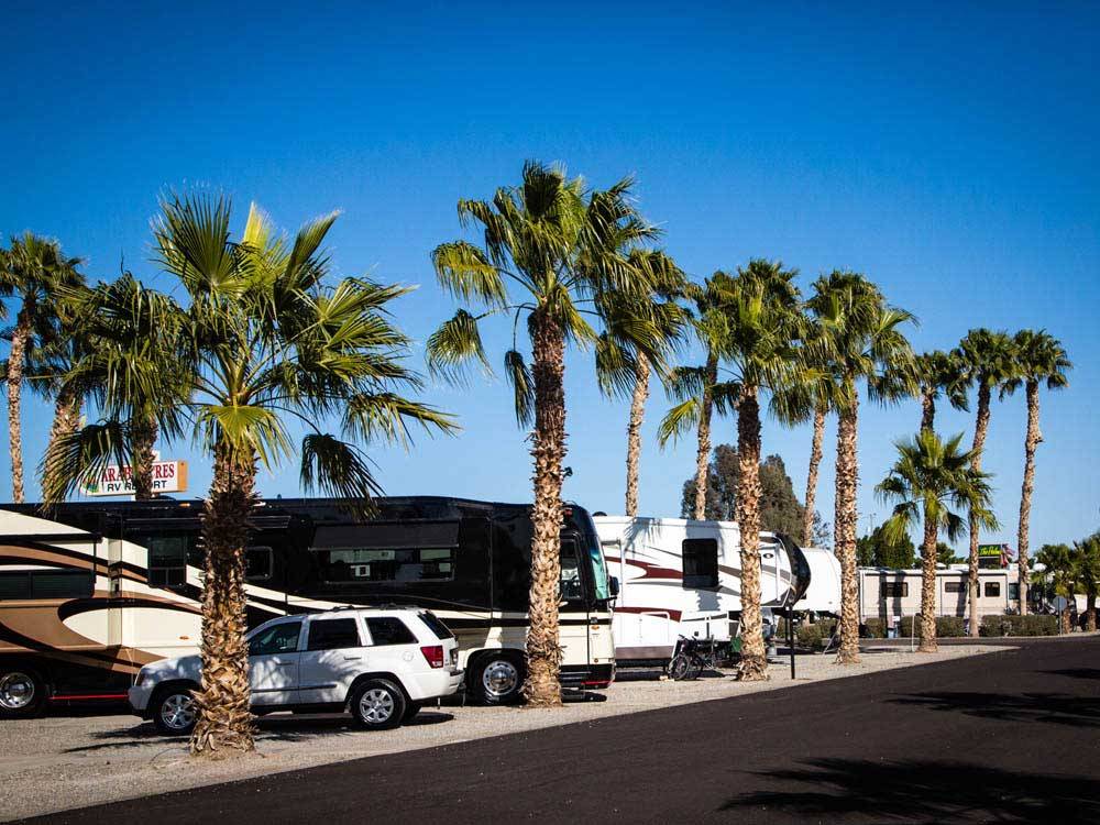 RVs and trailers at campground at ENCORE ARABY ACRES