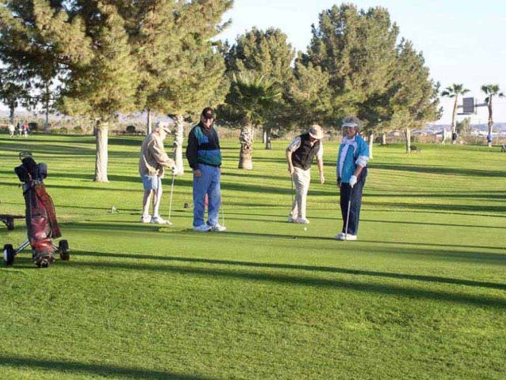 A group of men playing golf at WESTWIND RV & GOLF RESORT