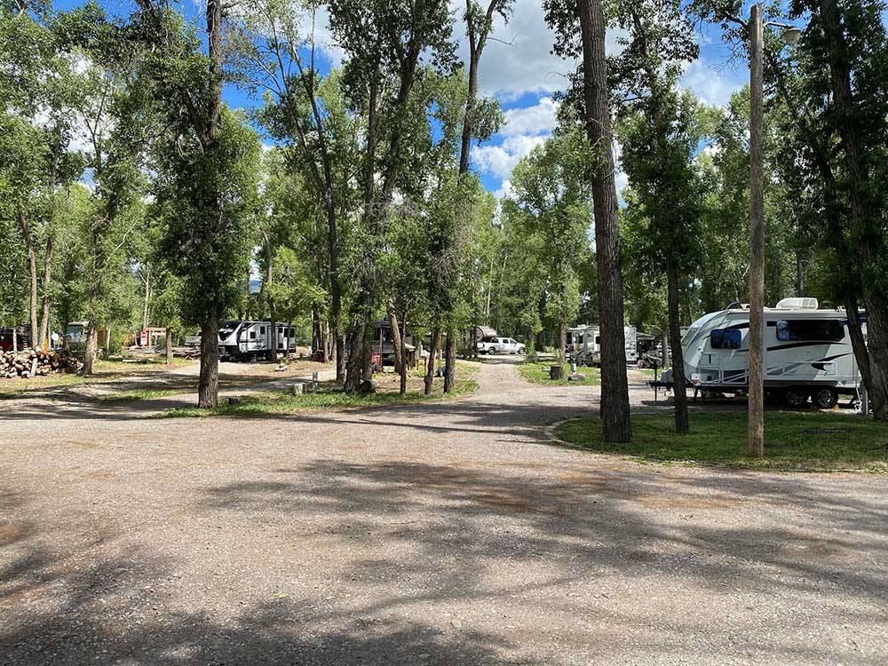 A view of the gravel sites between tall trees at RIO CHAMA RV PARK