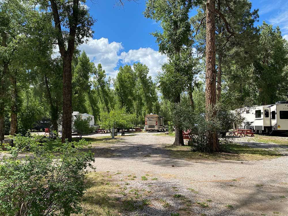 Travel trailers parked in gravel sites at RIO CHAMA RV PARK