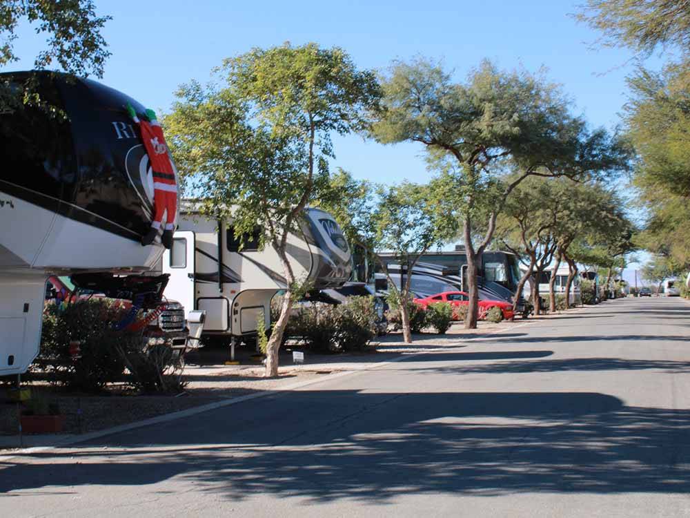 A row of RVs in sites at RIO BEND RV & GOLF RESORT
