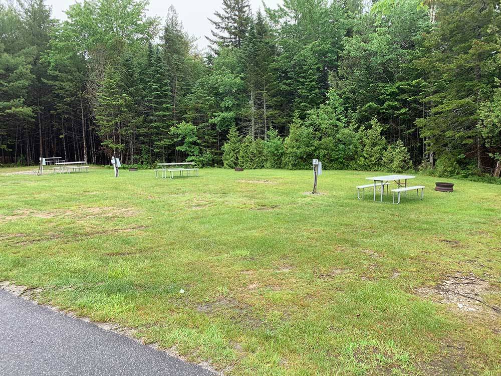 Grassy RV sites with picnic tables at TIMBERLAND ACRES RV PARK