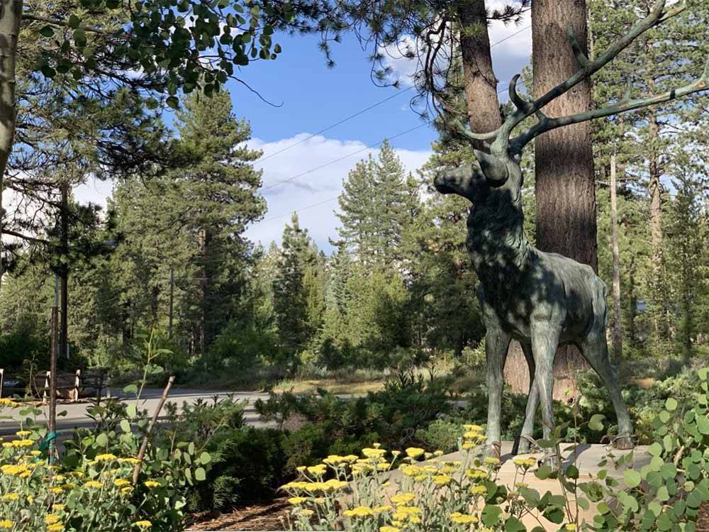 A statue of an elk in the woods at COACHLAND RV RESORT / VILLAGE CAMP TRUCKEE
